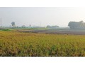 3-katha-30-ft-wide-road-g-8-tulip-valley-small-0