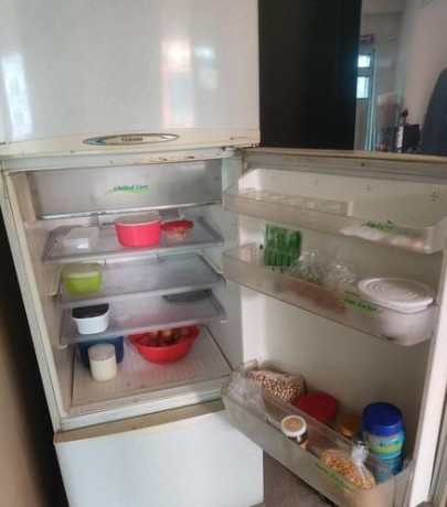 fridge-for-sell-big-1