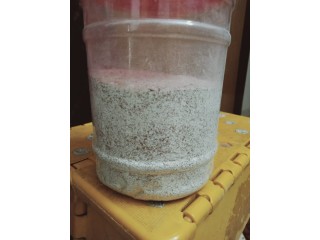Egg shell powder(Dim ar khosha )