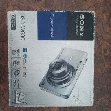 sony-cyber-shot-dsc-w630-digital-camera-big-0