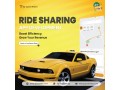 taxi-app-development-solutions-for-modern-entrepreneurs-spotnrides-small-0