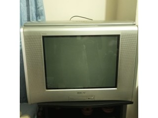 Sony 21 Inch CRT TV PictureTube disturb